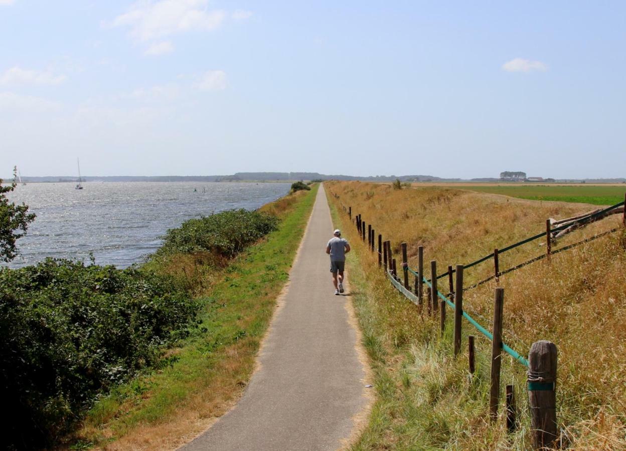 Banjaard Beachhouse Patrijzenlaan 14 Kamperland Exteriör bild